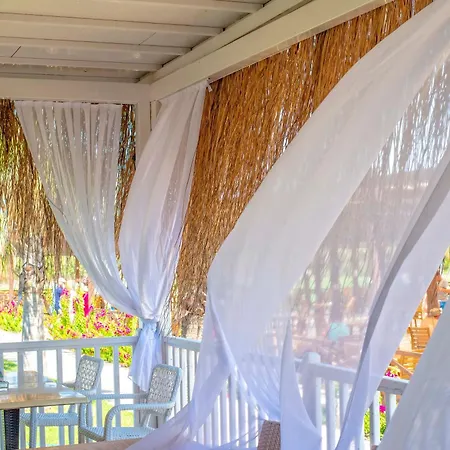 Semesteranläggning (resort) Euphoria Palm Kizilagac (Manavgat)